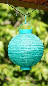Lampion nature summer