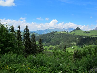 Jura sky wood