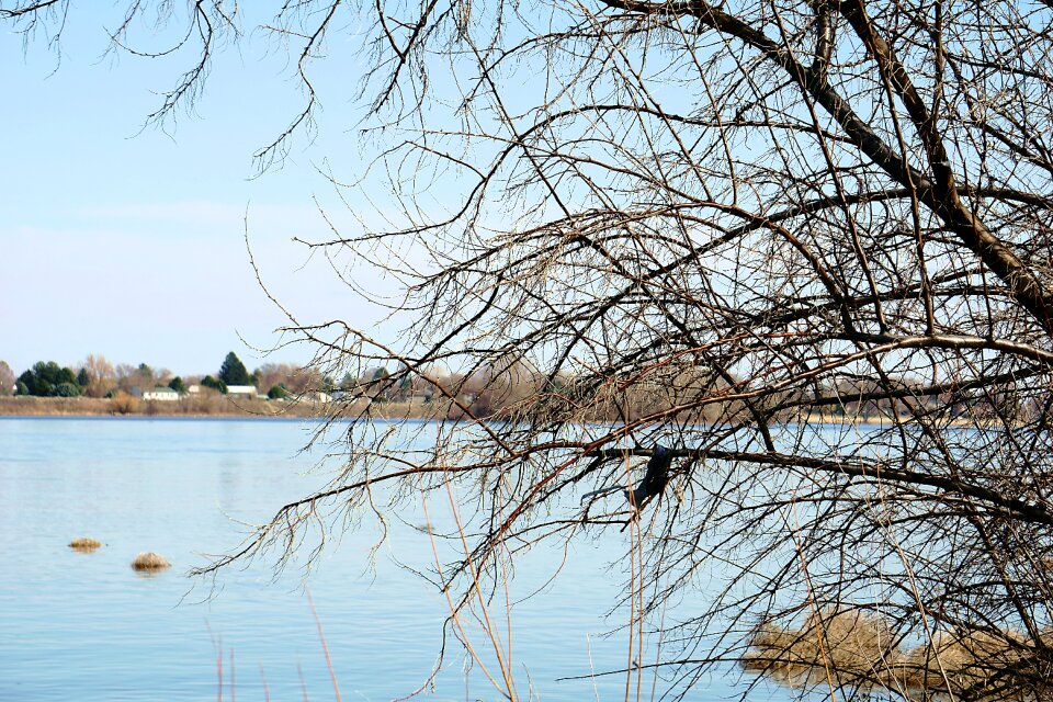 Season landscape branch
