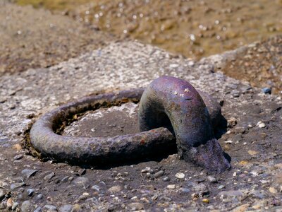 Loop docking ring-mooring port photo