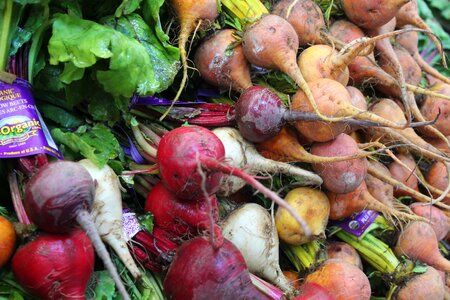 Healthy market turnips photo