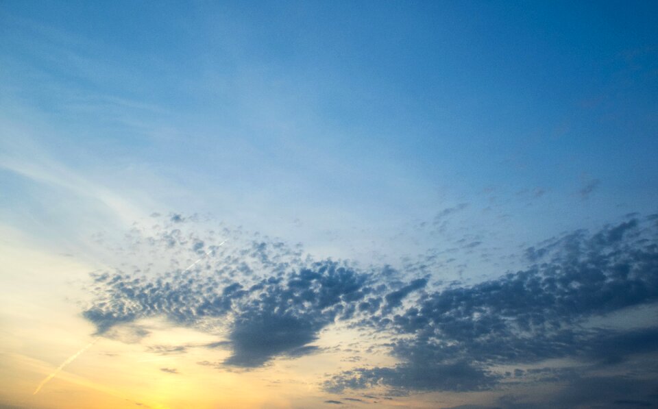 Summer panoramic landscape