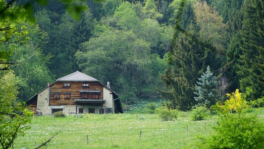 Flowers mountain hut alm hut photo