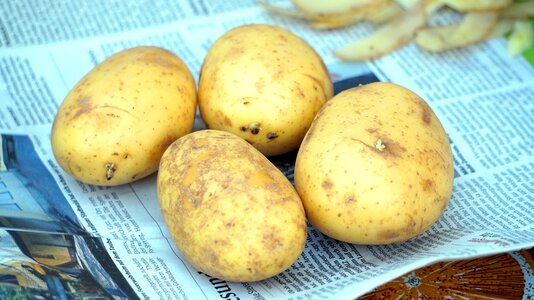 Background diet health