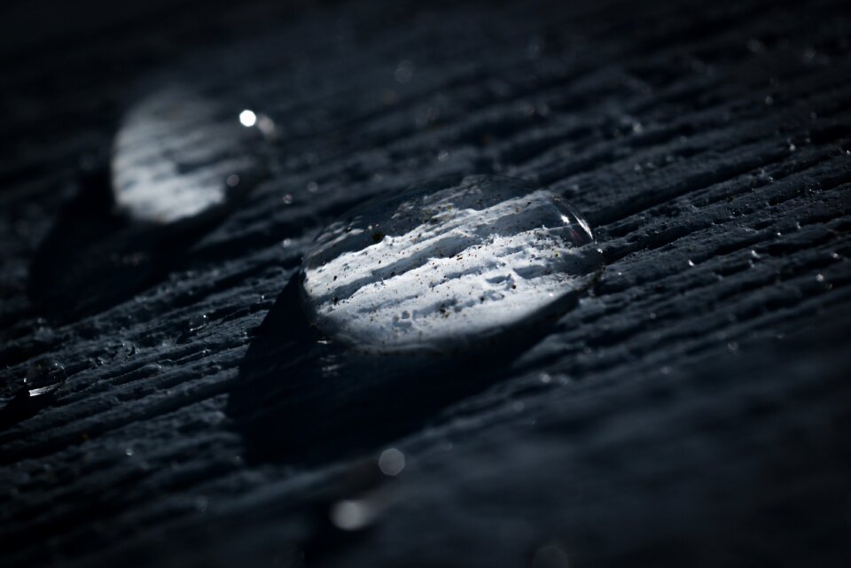 Macro wet dark