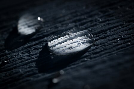Macro wet dark