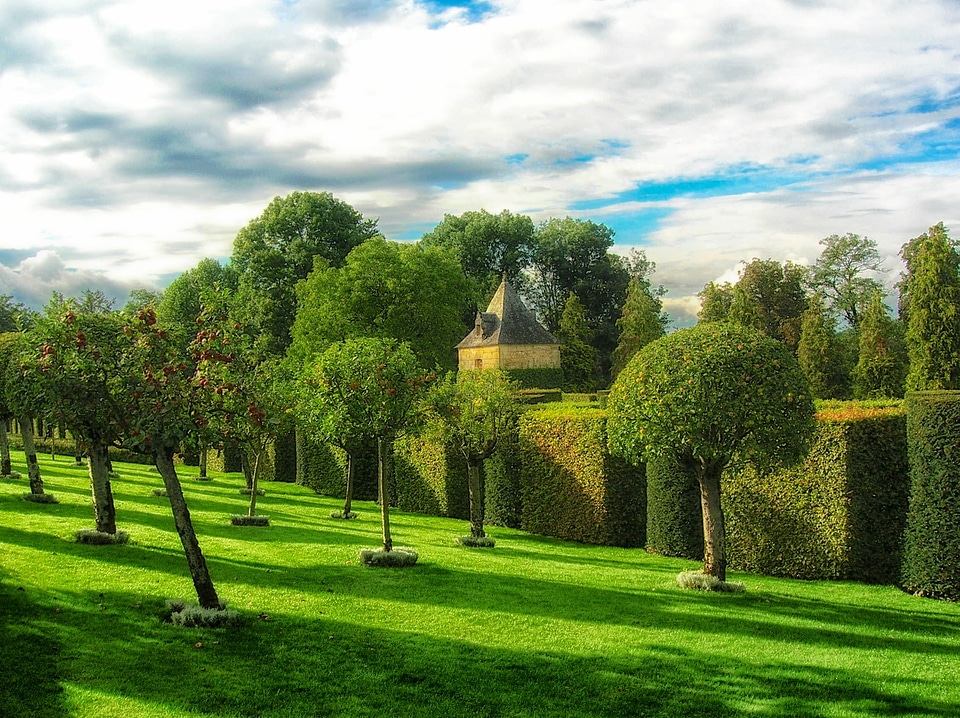 Summer spring trees