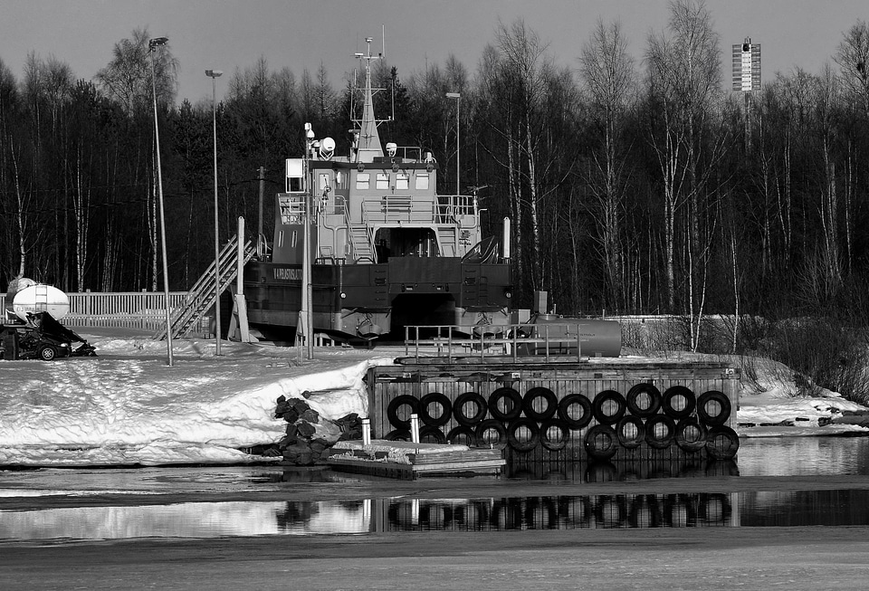 Forest trees ship