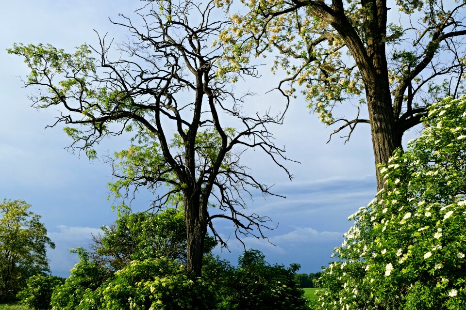 Nature the sky sky