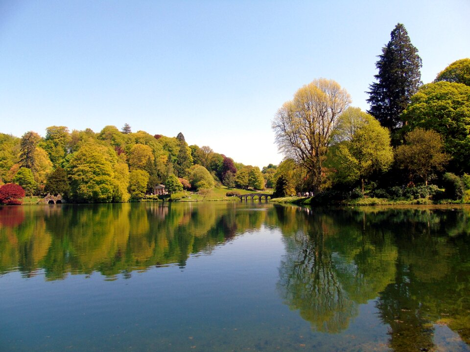 Forest water nature photo