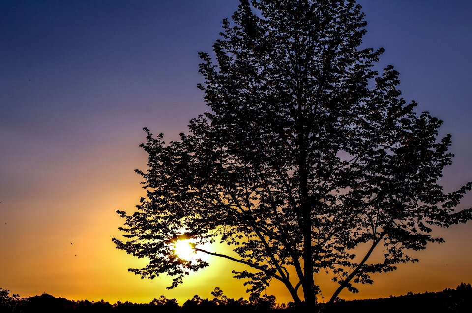 Nature by-the-sun Free photos