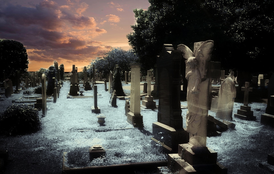 Grass creepy gothic