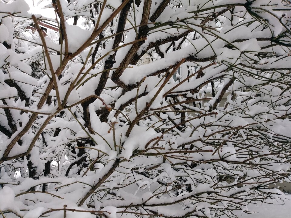 Snow season