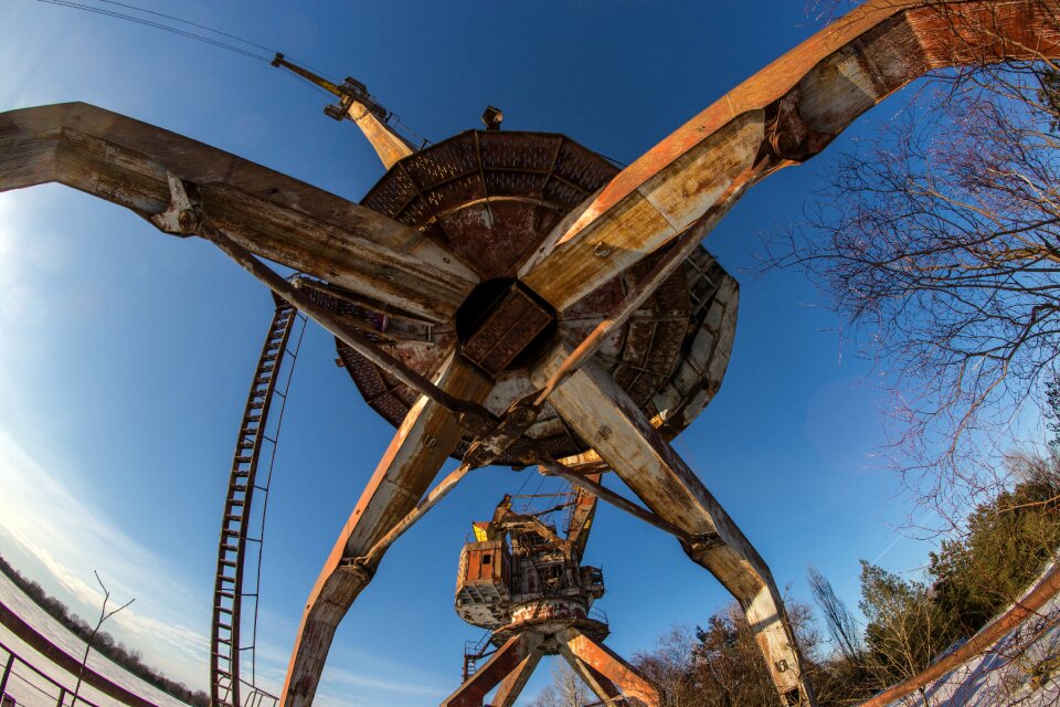 Chernobyl exclusion zone nature