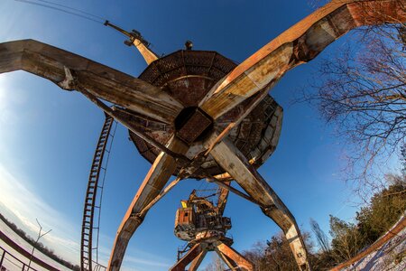 Chernobyl exclusion zone nature photo