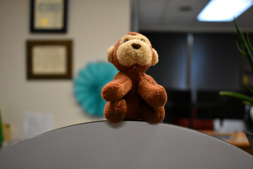 Stuffed animal adorable