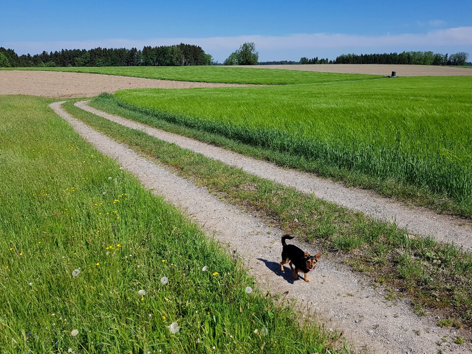 Landscape nature agriculture