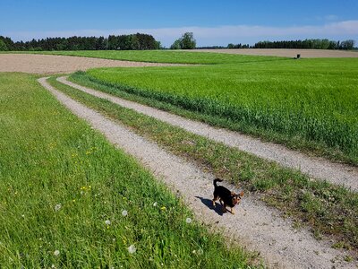 Landscape nature agriculture
