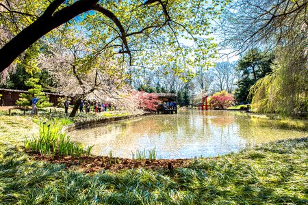 Landscape water botanical garden