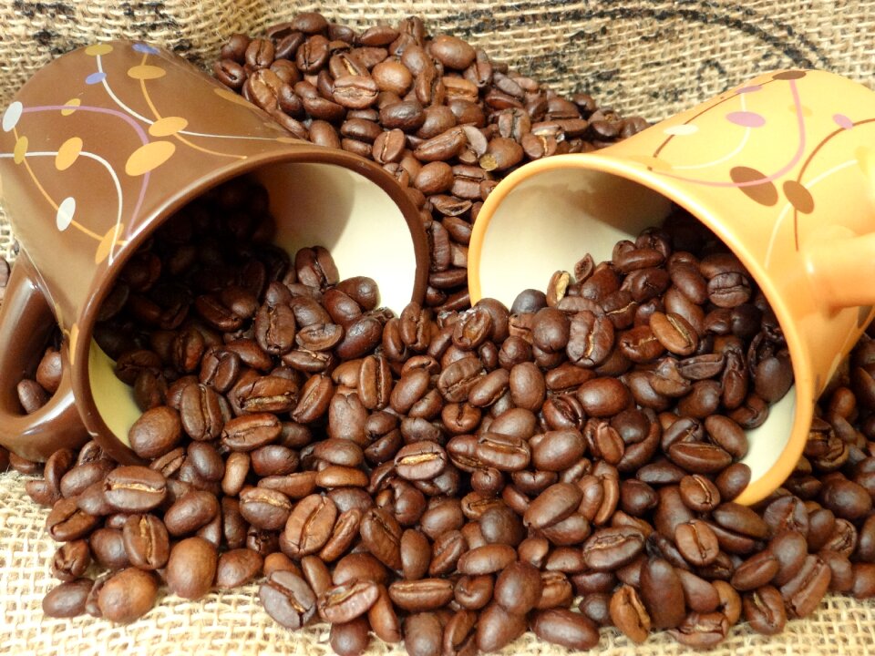 Breakfast caffeine beans