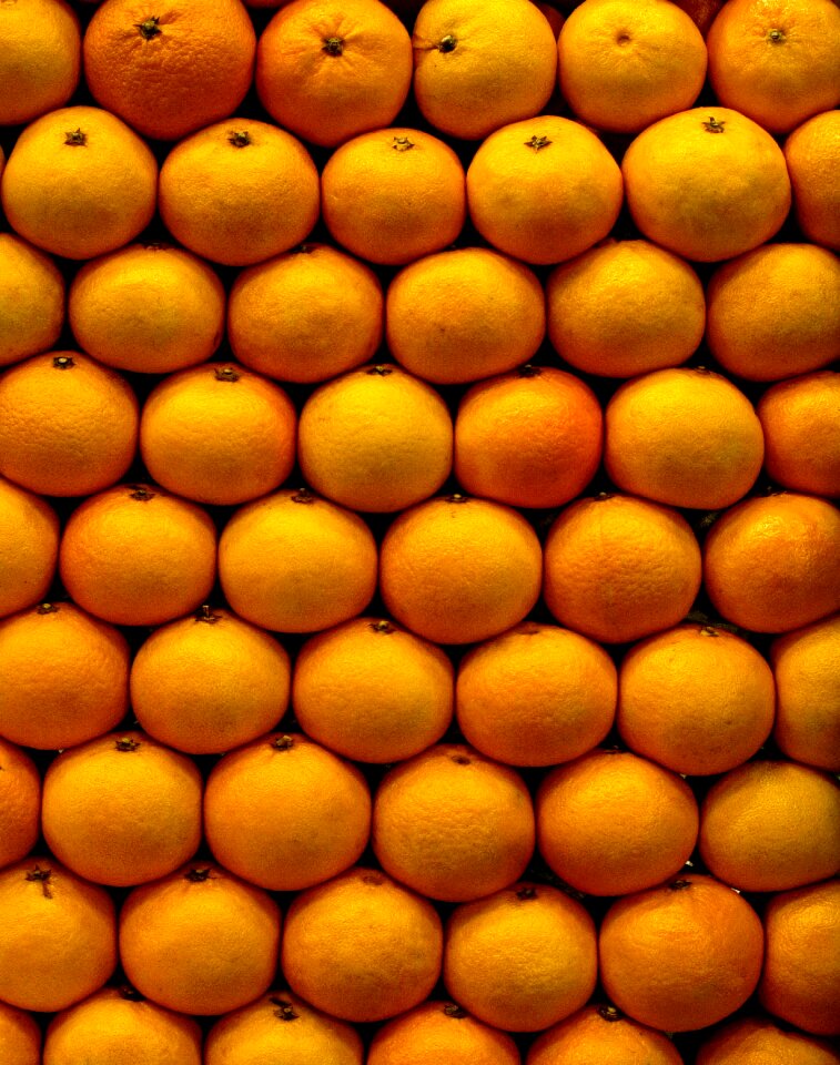 Greet citrus fruits orange