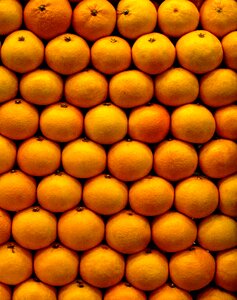 Greet citrus fruits orange photo