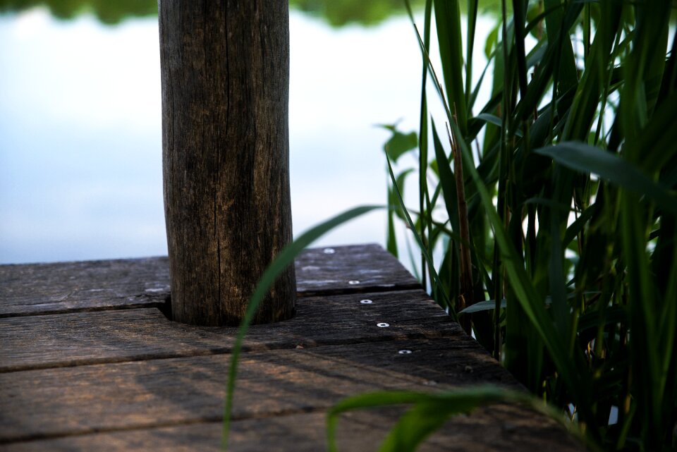 Landscape nature web