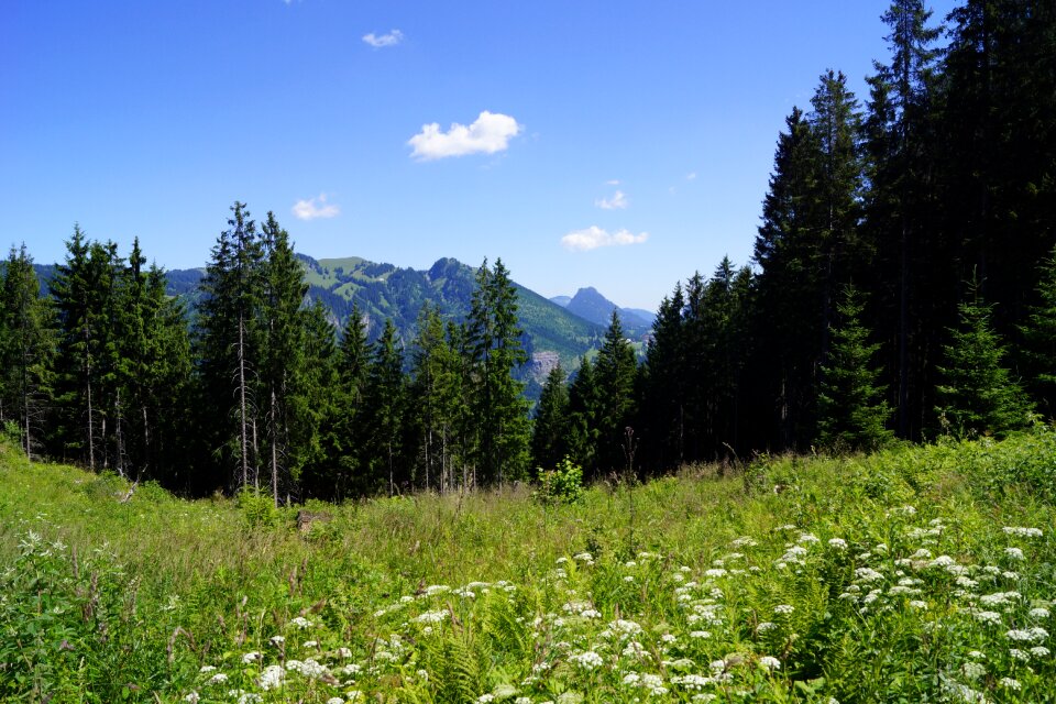 Landscape alpine mountains