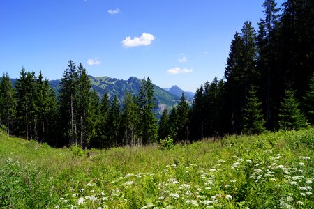 Landscape alpine mountains photo
