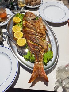 Restaurant eat sea ​​fish photo