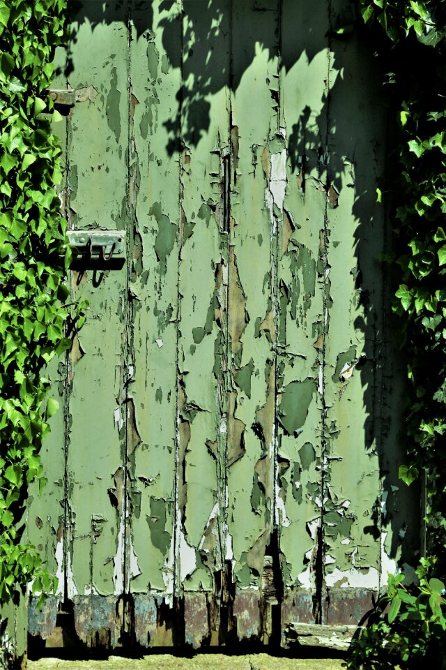 Garden green painting green door