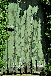 Garden green painting green door photo