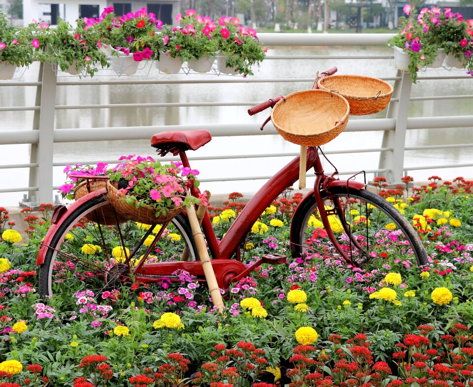 Viet nam garden design Free photos