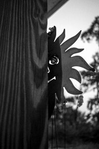 Grayscale creepy dusk