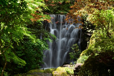 Wood green waterfall