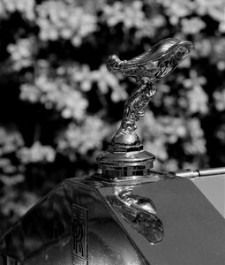 Vehicle statue