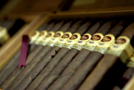 Tobacco humidor smoking