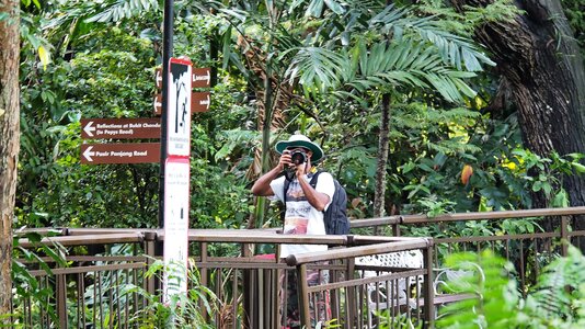 Travel tourism tourist