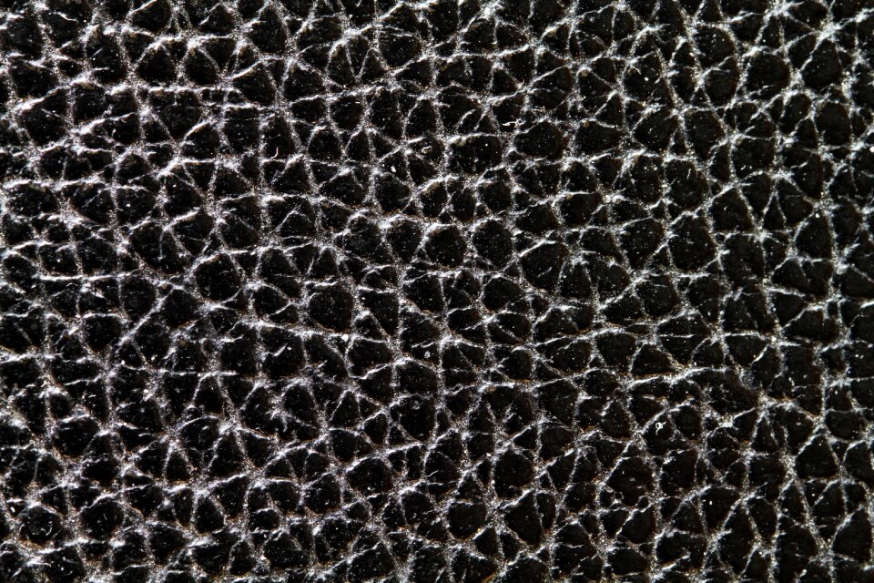 Leather leather texture animal skins