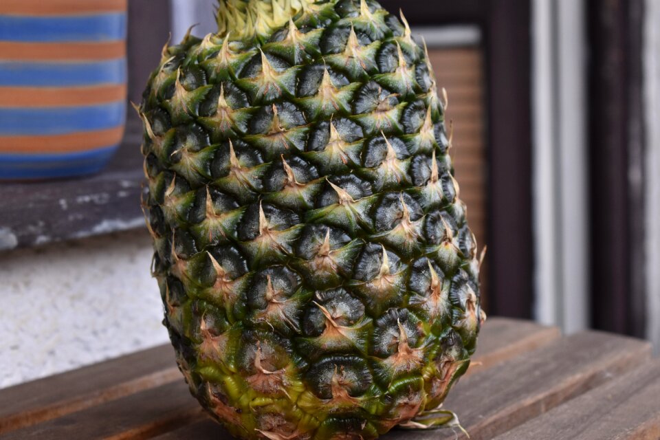 Pineapple fruit Free photos