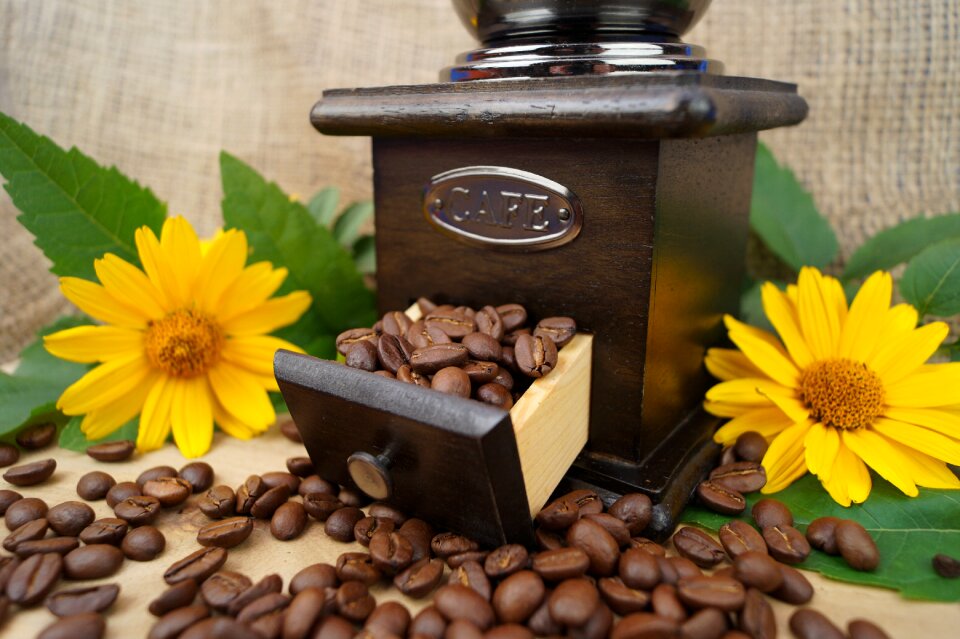 Caffeine grind coffee beans