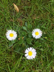 Outdoors nature spring