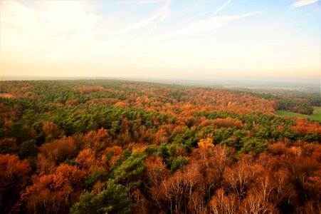 Reken melchen mountain trees