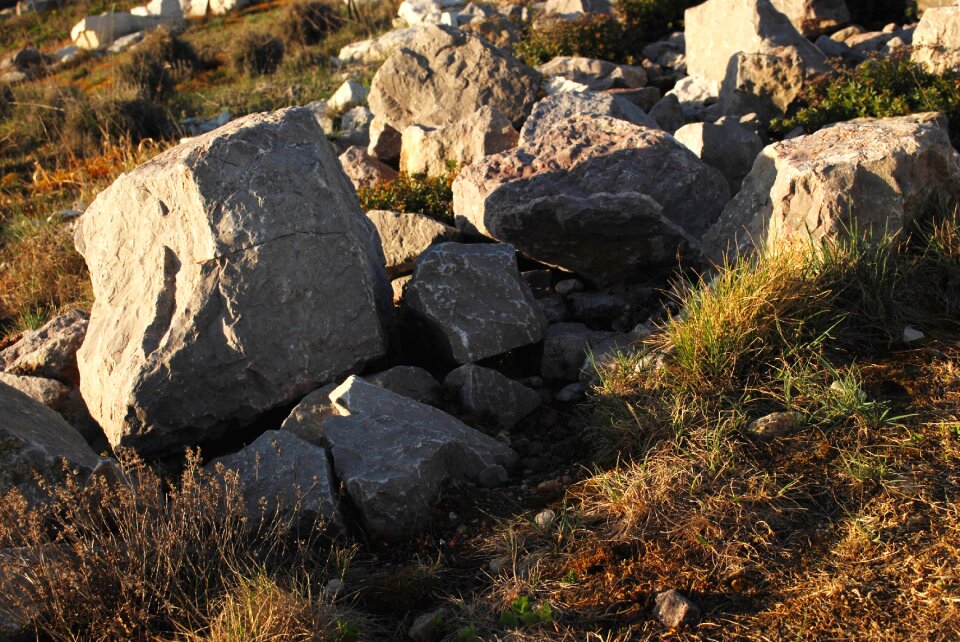 Dry summer rock gardens