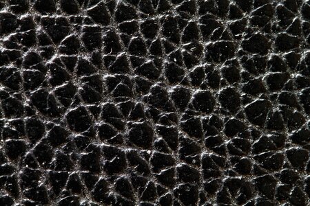 Leather leather texture animal skins
