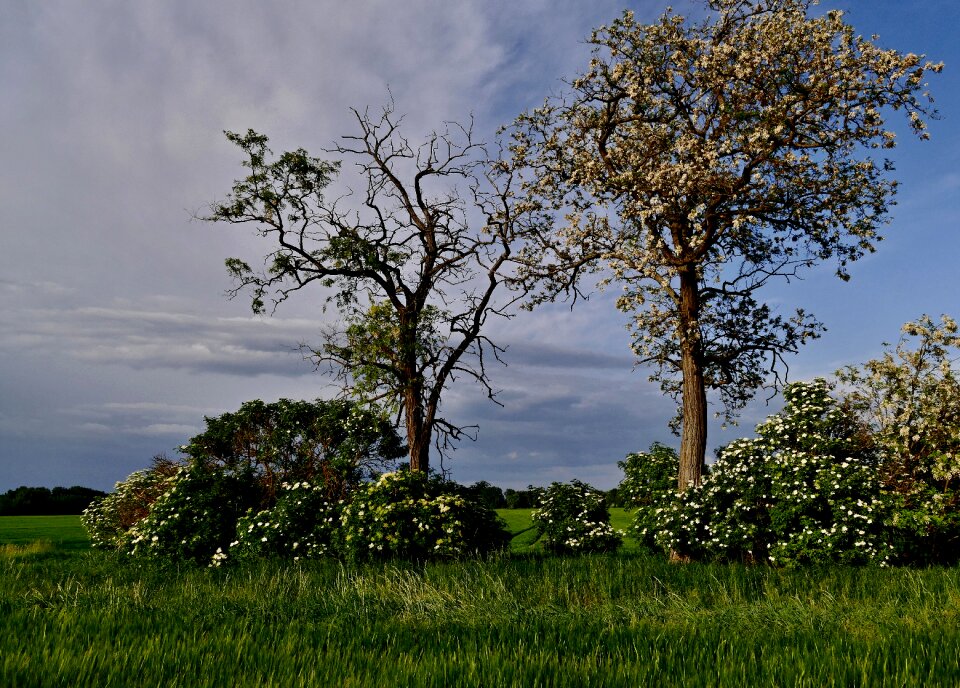 Nature the sky country