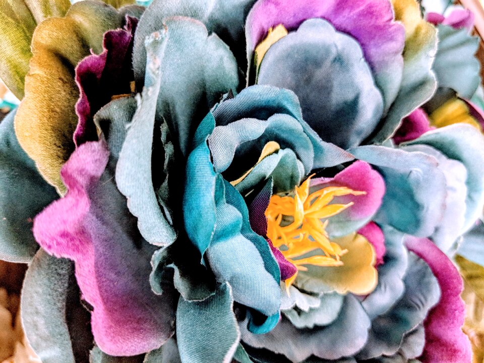 Blossom floral decoration