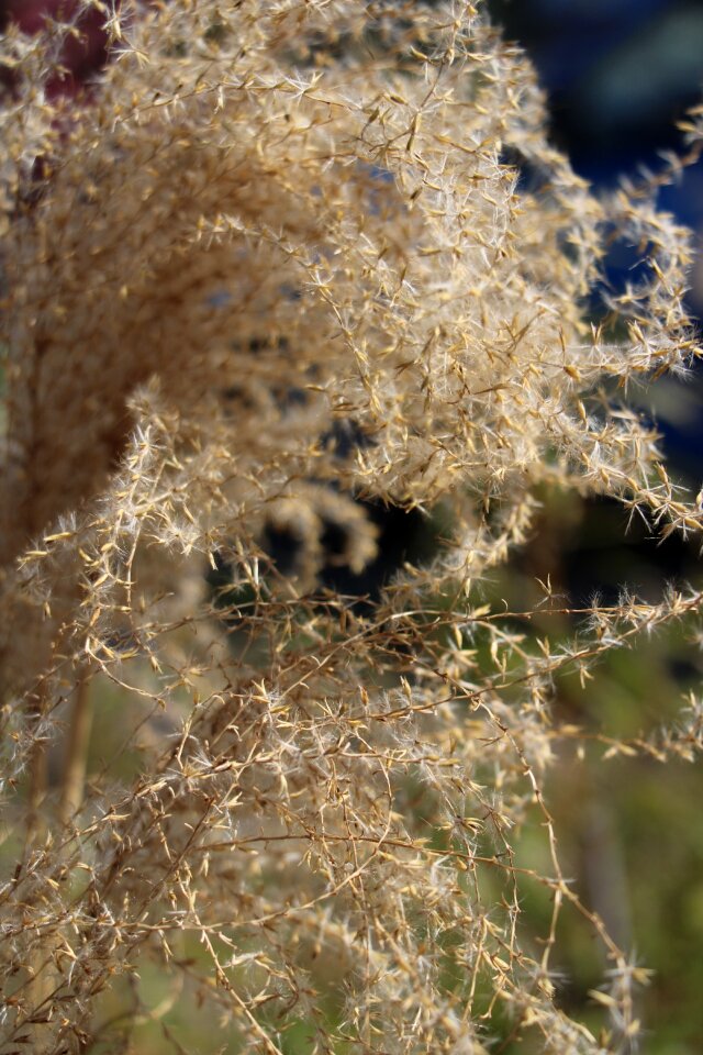 Light nature Free photos
