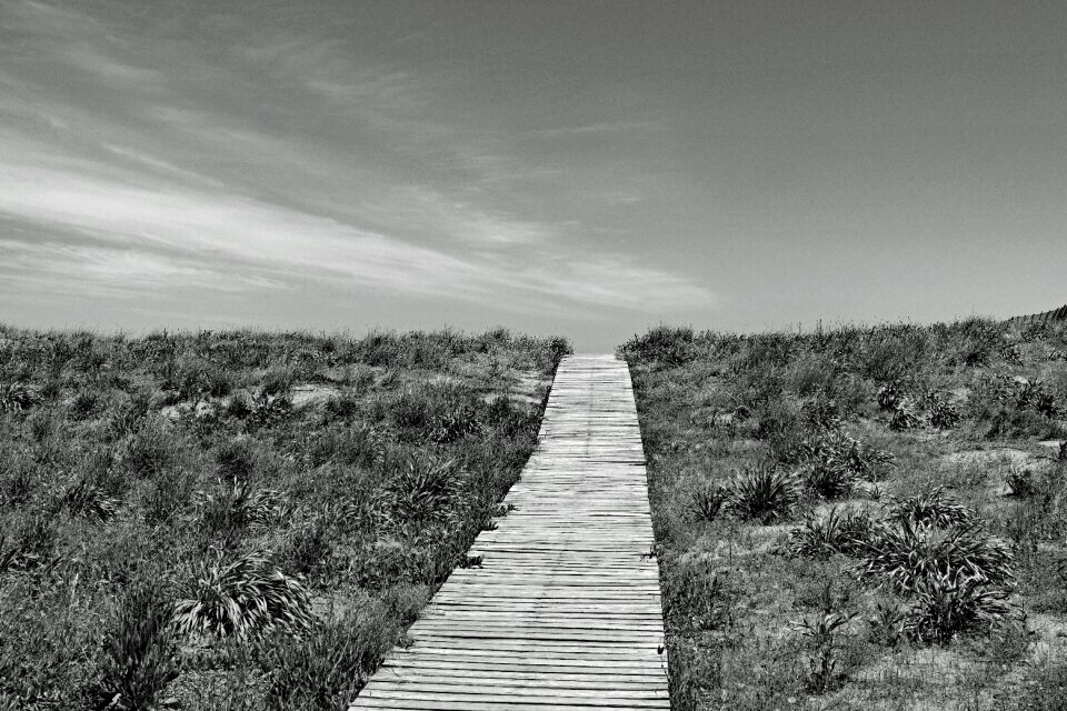 Beach black and white sw photo