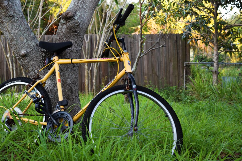 Old transportation cycle